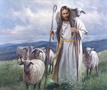 511614fc123f8e051defff35e4ece495